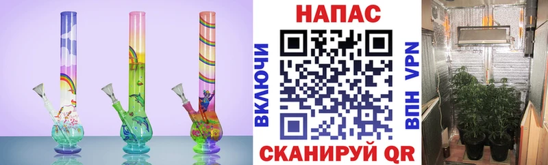 Бошки марихуана план  где купить   Кимовск 